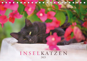 Inselkatzen (Tischkalender 2023 DIN A5 quer) von Krutz,  Christina