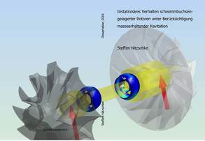 Instationäres Verhalten schwimmbuchsengelagerten Rotoren unter Berücksichtigung masseerhaltender Kavitation von Nitzschke,  Steffen