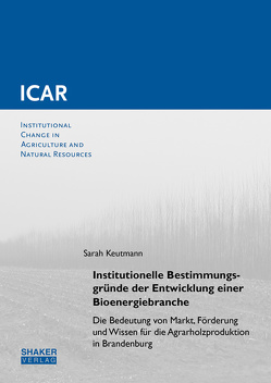 Institutionelle Bestimmungsgründe der Entwicklung einer Bioenergiebranche von Keutmann,  Sarah