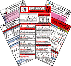 Intensiv-Station Karten-Set – Analgesie & Sedierung, Blutgase & Differentialdiagnose, Herzrhythmusstörungen, Inkompatibilitäten intravenöser Medikamente, Reanimation von Verlag Hawelka