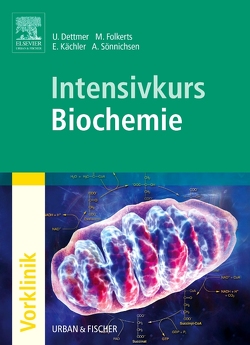 Intensivkurs Biochemie von Dettmer,  Ulf, Folkerts,  Malte, Sönnichsen,  Andreas