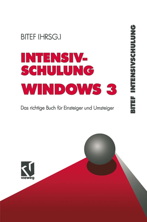Intensivschulung Windows 3 von Raddatz-Löffler,  Heidi