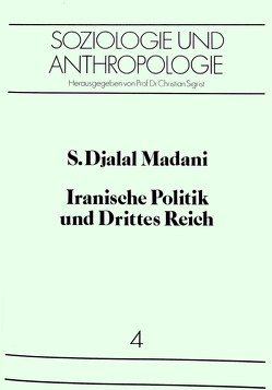 Iranische Politik und Drittes Reich von Madani,  S. Djalal