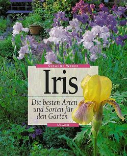 Iris von Weber,  Susanne