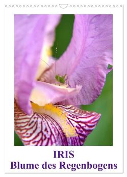 Iris, Blume des Regenbogens (Wandkalender 2024 DIN A3 hoch), CALVENDO Monatskalender von Haas,  Willi
