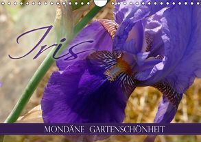 Iris – mondäne Gartenschönheit (Wandkalender 2019 DIN A4 quer) von B-B Müller,  Christine