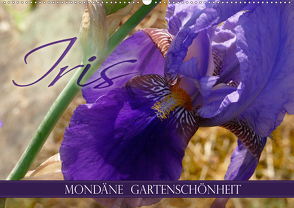 Iris – mondäne Gartenschönheit (Wandkalender 2021 DIN A2 quer) von B-B Müller,  Christine