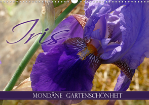 Iris – mondäne Gartenschönheit (Wandkalender 2021 DIN A3 quer) von B-B Müller,  Christine