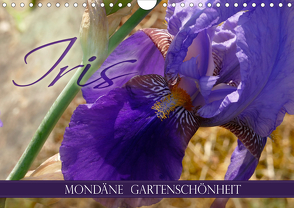 Iris – mondäne Gartenschönheit (Wandkalender 2021 DIN A4 quer) von B-B Müller,  Christine