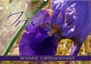 Iris – mondäne Gartenschönheit (Wandkalender 2023 DIN A2 quer) von B-B Müller,  Christine