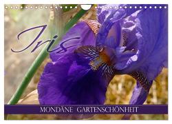 Iris – mondäne Gartenschönheit (Wandkalender 2024 DIN A4 quer), CALVENDO Monatskalender von B-B Müller,  Christine