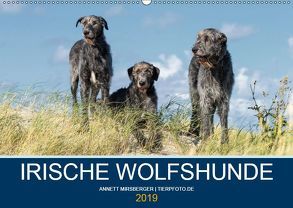 Irische Wolfshunde (Wandkalender 2019 DIN A2 quer) von Mirsberger,  Annett, www.tierpfoto.de