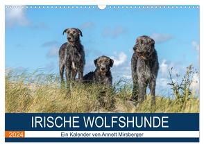 Irische Wolfshunde (Wandkalender 2024 DIN A3 quer), CALVENDO Monatskalender von Mirsberger,  Annett