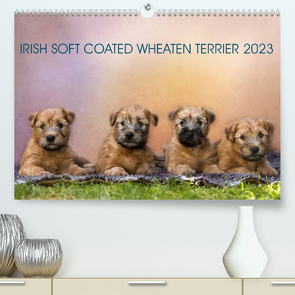IRISH SOFT COATED WHEATEN TERRIER 2023 (Premium, hochwertiger DIN A2 Wandkalender 2023, Kunstdruck in Hochglanz) von Mirsberger www.tierpfoto.de,  Annett