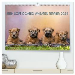 IRISH SOFT COATED WHEATEN TERRIER 2024 (hochwertiger Premium Wandkalender 2024 DIN A2 quer), Kunstdruck in Hochglanz von Mirsberger www.tierpfoto.de,  Annett
