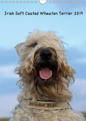 Irish Soft Coated Wheaten Terrier Kalender 2019 (Wandkalender 2019 DIN A4 hoch) von Eitzenberger,  Anja