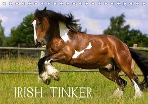 Irish Tinker (Tischkalender 2019 DIN A5 quer) von Wejat-Zaretzke,  Gabriela