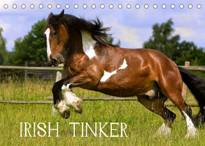 Irish Tinker (Tischkalender 2023 DIN A5 quer) von Wejat-Zaretzke,  Gabriela