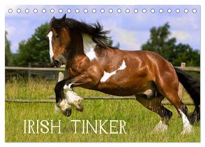 Irish Tinker (Tischkalender 2024 DIN A5 quer), CALVENDO Monatskalender von Wejat-Zaretzke,  Gabriela