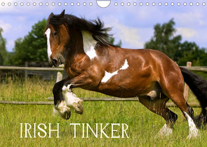 Irish Tinker (Wandkalender 2023 DIN A4 quer) von Wejat-Zaretzke,  Gabriela