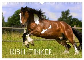 Irish Tinker (Wandkalender 2024 DIN A3 quer), CALVENDO Monatskalender von Wejat-Zaretzke,  Gabriela