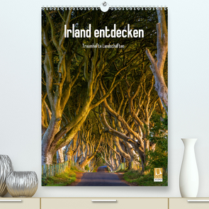 Irland entdecken (Premium, hochwertiger DIN A2 Wandkalender 2021, Kunstdruck in Hochglanz) von Ringer,  Christian