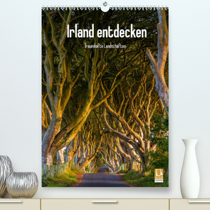 Irland entdecken (Premium, hochwertiger DIN A2 Wandkalender 2022, Kunstdruck in Hochglanz) von Ringer,  Christian
