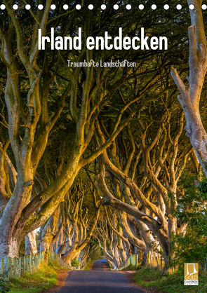 Irland entdecken (Tischkalender 2021 DIN A5 hoch) von Ringer,  Christian