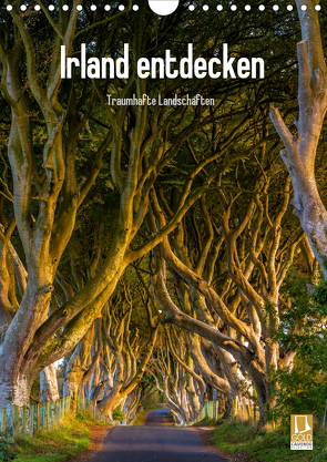Irland entdecken (Wandkalender 2021 DIN A4 hoch) von Ringer,  Christian