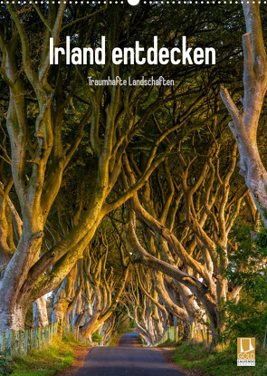 Irland entdecken (Wandkalender 2023 DIN A2 hoch) von Ringer,  Christian