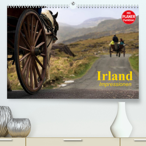 Irland. Impressionen (Premium, hochwertiger DIN A2 Wandkalender 2023, Kunstdruck in Hochglanz) von Stanzer,  Elisabeth