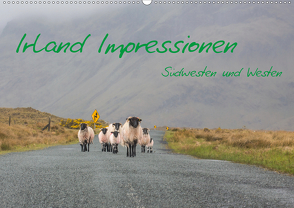 Irland Impressionen Südwesten und Westen (Wandkalender 2021 DIN A2 quer) von Härting,  Falk