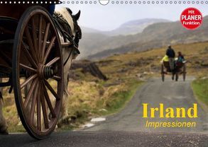 Irland. Impressionen (Wandkalender 2019 DIN A3 quer) von Stanzer,  Elisabeth