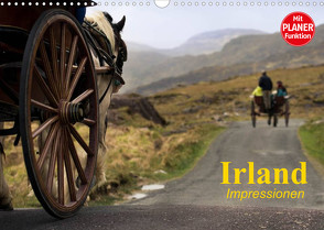 Irland. Impressionen (Wandkalender 2023 DIN A3 quer) von Stanzer,  Elisabeth