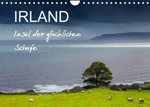 IRLAND – Insel der glücklichen Schafe (Wandkalender 2023 DIN A4 quer) von BÖHME,  Ferry