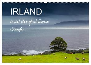 IRLAND – Insel der glücklichen Schafe (Wandkalender 2024 DIN A2 quer), CALVENDO Monatskalender von BÖHME,  Ferry