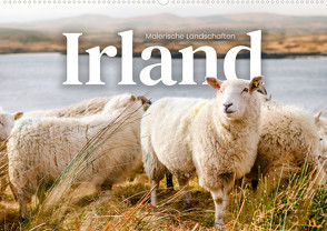 Irland – Malerische Landschaften (Wandkalender 2023 DIN A2 quer) von Monkey,  Happy