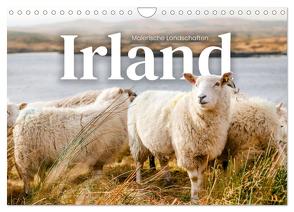 Irland – Malerische Landschaften (Wandkalender 2024 DIN A4 quer), CALVENDO Monatskalender von Monkey,  Happy