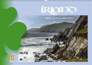Irland – Rauhe Küste und Wilde Natur (Wandkalender 2019 DIN A2 quer) von Stamm,  Dirk