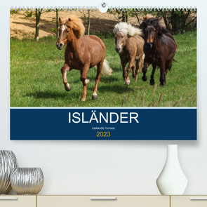 Isländer – icelandic horses (Premium, hochwertiger DIN A2 Wandkalender 2023, Kunstdruck in Hochglanz) von Hollstein,  Alexandra
