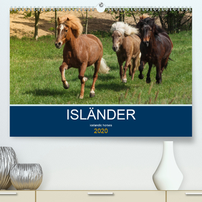 Isländer – icelandic horses (Premium, hochwertiger DIN A2 Wandkalender 2020, Kunstdruck in Hochglanz) von Hollstein,  Alexandra