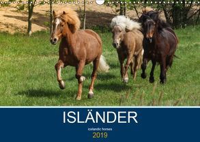 Isländer – icelandic horses (Wandkalender 2019 DIN A3 quer) von Hollstein,  Alexandra