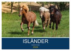 Isländer – icelandic horses (Wandkalender 2024 DIN A2 quer), CALVENDO Monatskalender von Hollstein,  Alexandra