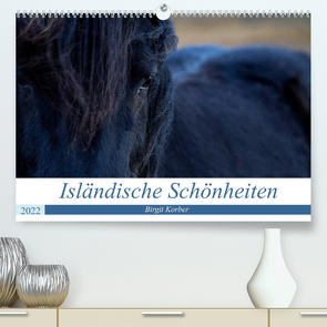Isländische Schönheiten (Premium, hochwertiger DIN A2 Wandkalender 2022, Kunstdruck in Hochglanz) von Korber,  Birgit