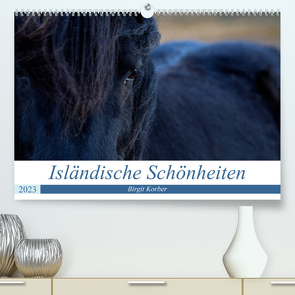 Isländische Schönheiten (Premium, hochwertiger DIN A2 Wandkalender 2023, Kunstdruck in Hochglanz) von Korber,  Birgit