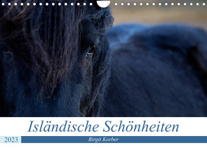 Isländische Schönheiten (Wandkalender 2023 DIN A4 quer) von Korber,  Birgit