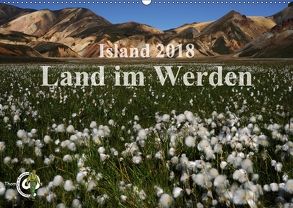 Island 2018 – Land im Werden (Wandkalender 2018 DIN A2 quer) von Thom@sPhotography