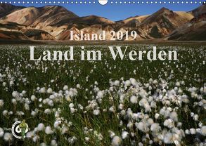 Island 2019 – Land im Werden (Wandkalender 2019 DIN A3 quer) von Thom@sPhotography