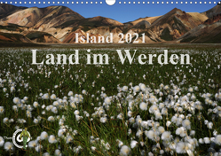 Island 2021 – Land im Werden (Wandkalender 2021 DIN A3 quer) von Thom@sPhotography