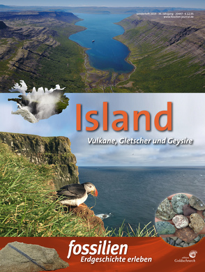 Island von Redaktion Fossilien
